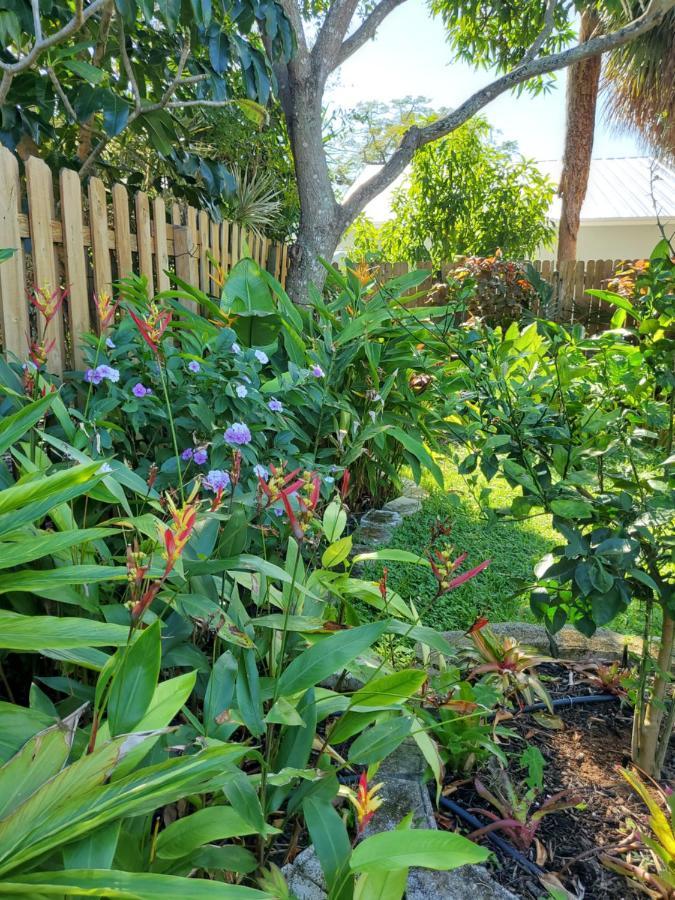 דירות פורט לודרדייל Tropical Hideaway! מראה חיצוני תמונה